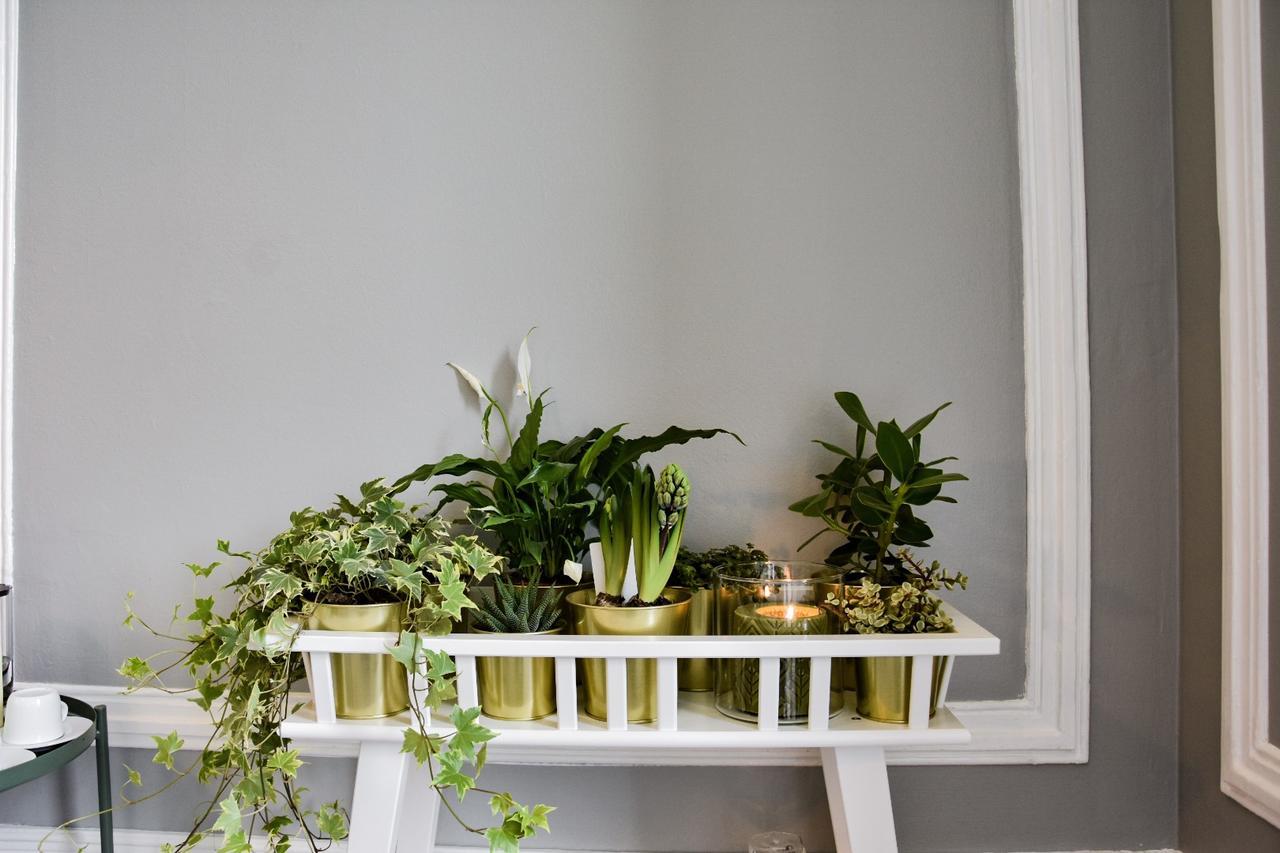 The Hygge Lisbon Suites - Estrela Buitenkant foto